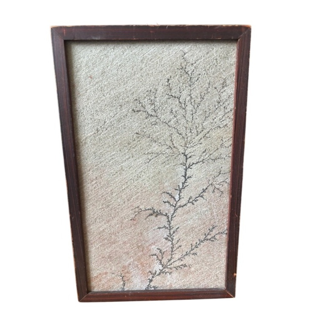Stone Botanical Wall Art Natural Earthy Vintage Framed Unique Heavy 12.5" GUC